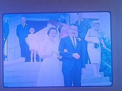 Wedding